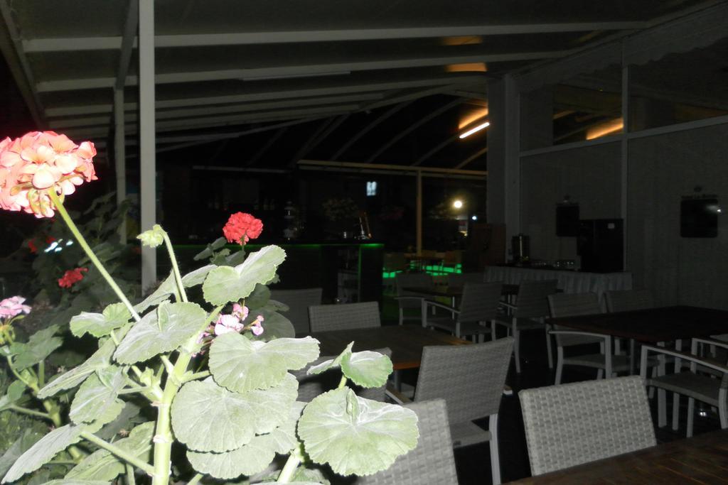 Hotel La Mosae Alanya Exteriör bild